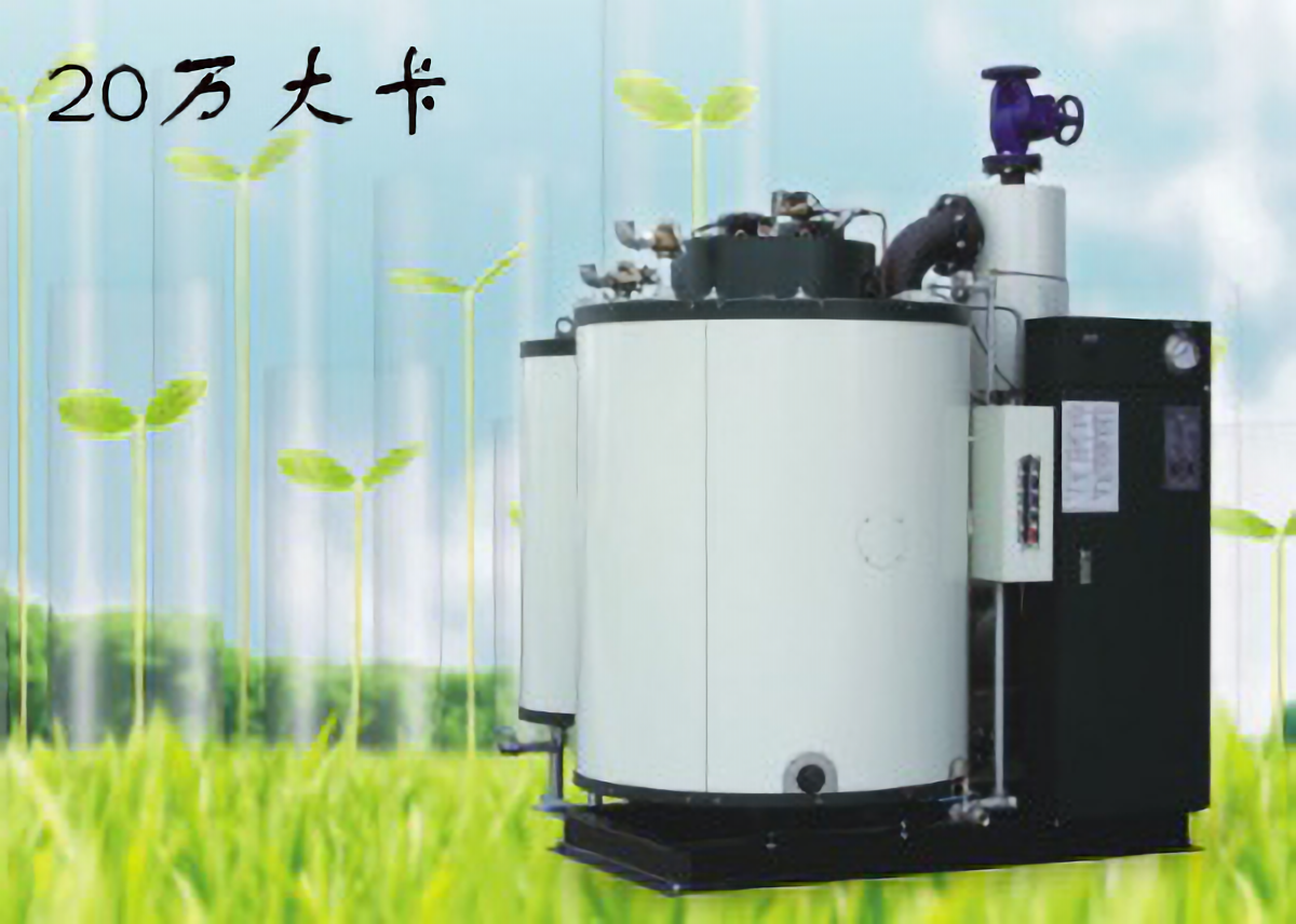 20万大卡热量燃气锅炉(生物质锅炉,燃煤锅炉)额定功率0.35MW 热效率≥99%,约10440元/台 第3张