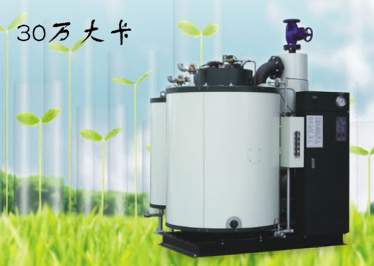 30万大卡热量燃气锅炉(生物质锅炉,燃煤锅炉)额定功率0.35MW 热效率≥99%,约14160元/台 第3张