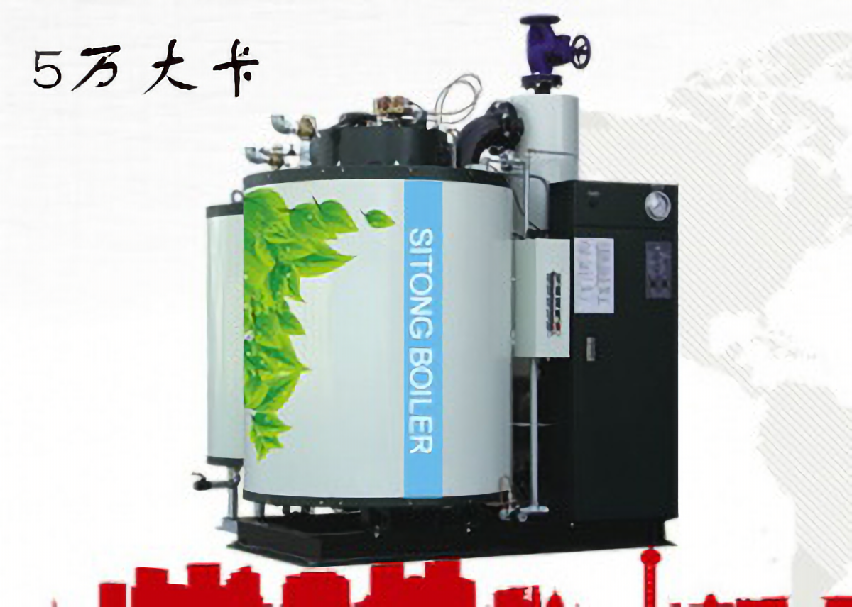 5万大卡热量燃气锅炉(生物质锅炉,燃煤锅炉)额定功率0.35MW 热效率≥99%,约5640元/台 第2张