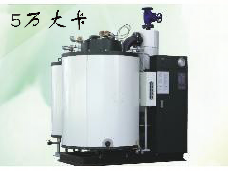 5万大卡热量燃气锅炉(生物质锅炉,燃煤锅炉)额定功率0.35MW 热效率≥99%,约5640元/台 第1张